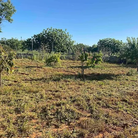 Prázdninový dům Casa El Aguacate Cádiz